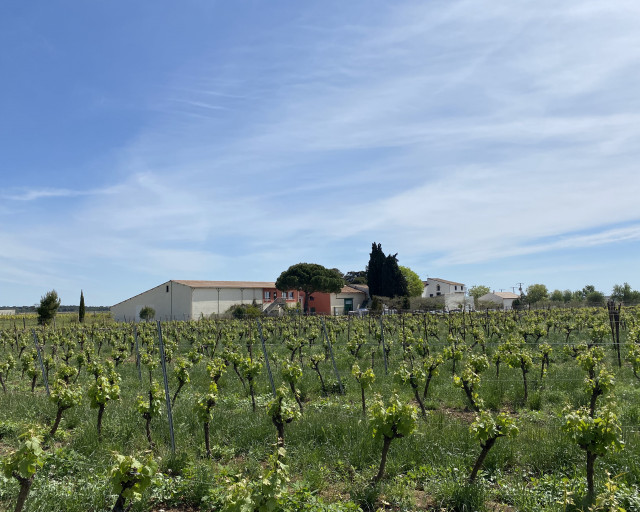 Les domaines de petit roubie