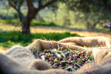 istockphoto-883064876-612x612-301000