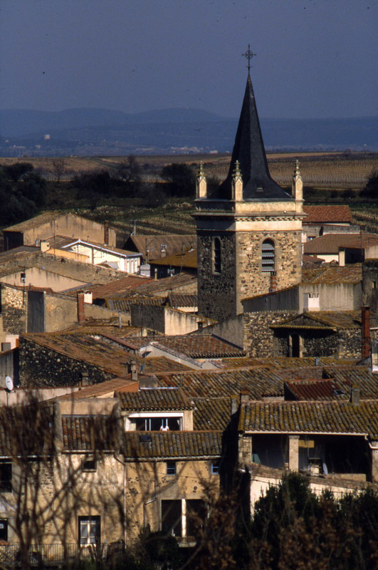 Nizas