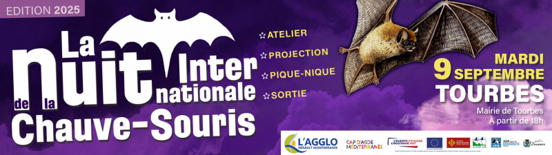 chauve-souris-2025-1920-x-540-1415915