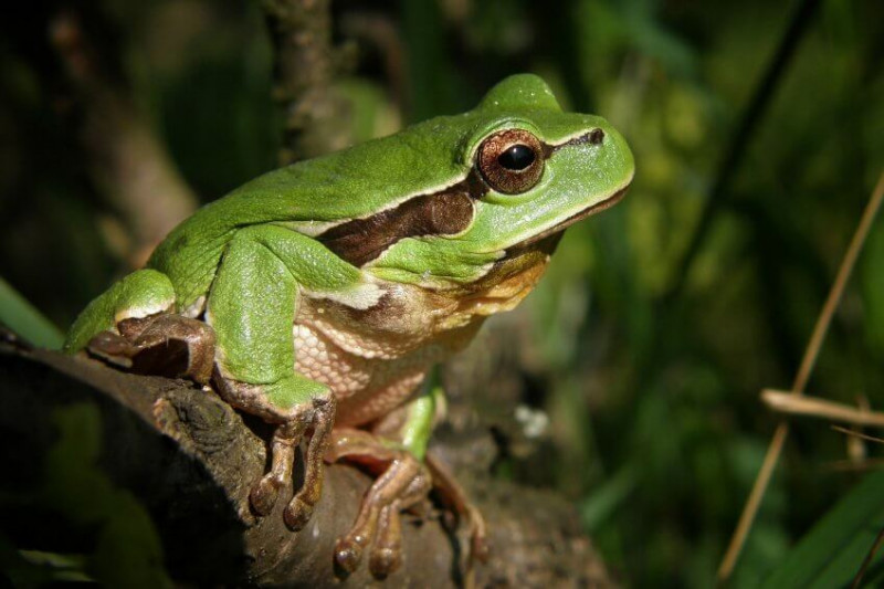 imagevignette-848x565-827974